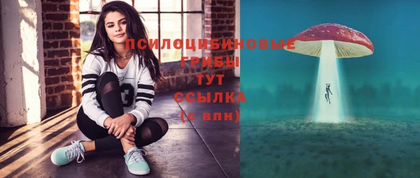 тгк Протвино