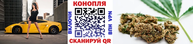 Бошки марихуана SATIVA & INDICA  как найти наркотики  Касимов 
